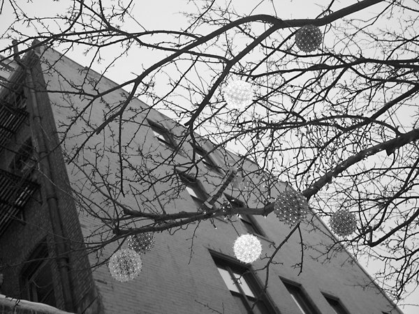 Lights-in-trees-in-Longfellow-House-garden-on-Congress-Street-in-downtown-Portland,-Maine.-(P1100483)