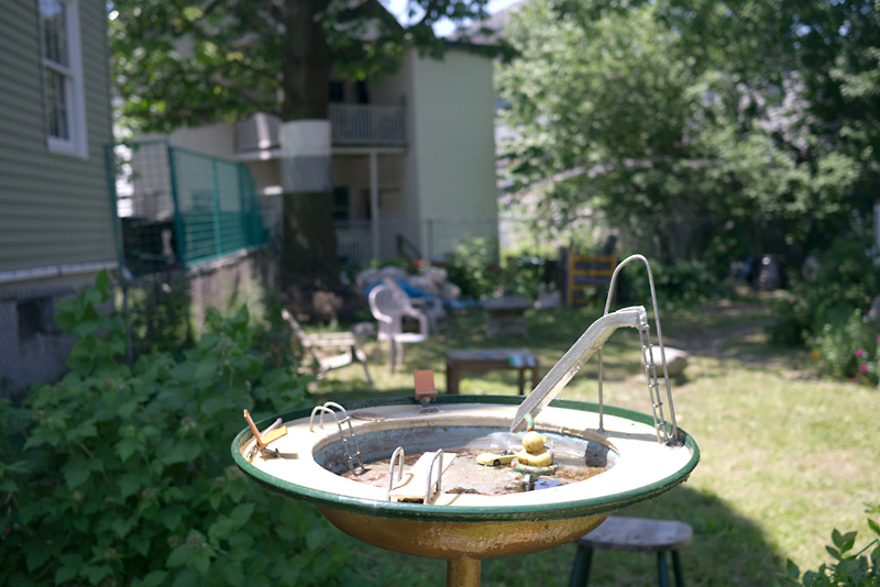 Bird bath, Egleston Community Orchard, Jamaica Plain, Massachusetts