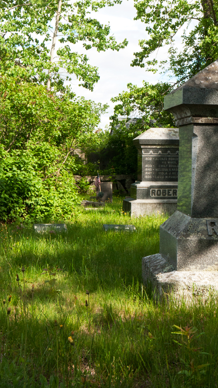 Old-cemetery-markers,-Lyman,-MainePGF11140390)