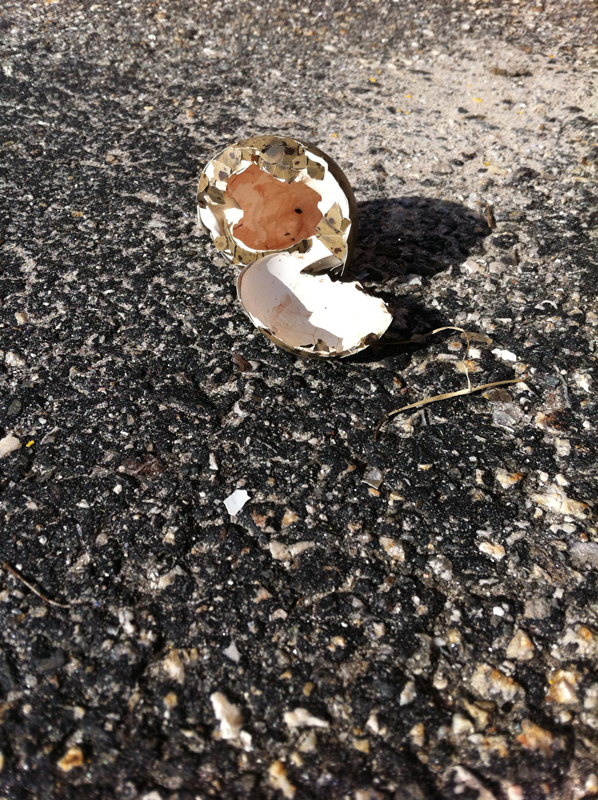 Seagull-egg,-parking-lot,-Arts-District,-Portland,-Maine-(IMG_4846)